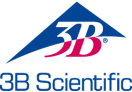 3B SCIENTIFIC